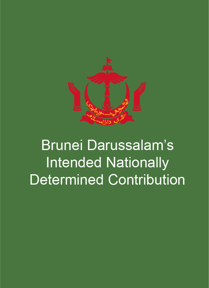 brunei-darussalam-asean-climate-change-and-energy-project