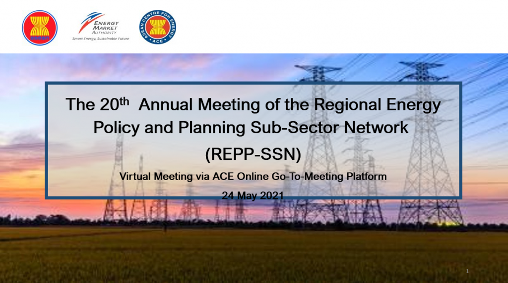 20th Annual Meeting of the Regional Energy Policy and Planning Sub-Sector Network (REPP-SSN)